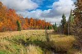 Autumn Landscape_23416